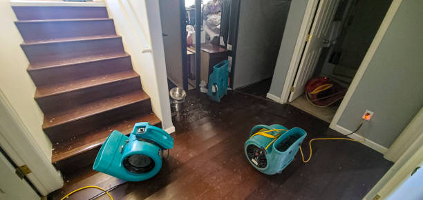 Best Flooded house restoration  in Excelsior, MN