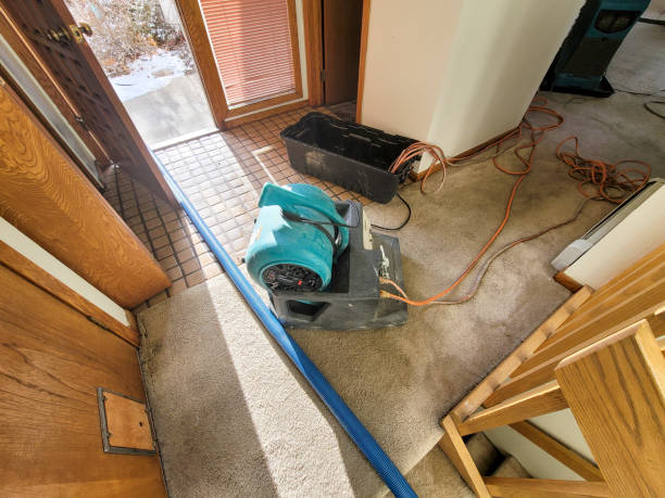 Best Water damage restoration mold remediation  in Excelsior, MN