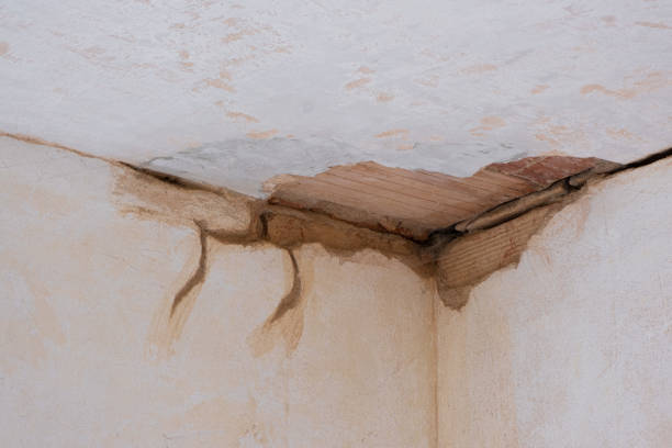 Best Water damage restoration near me  in Excelsior, MN