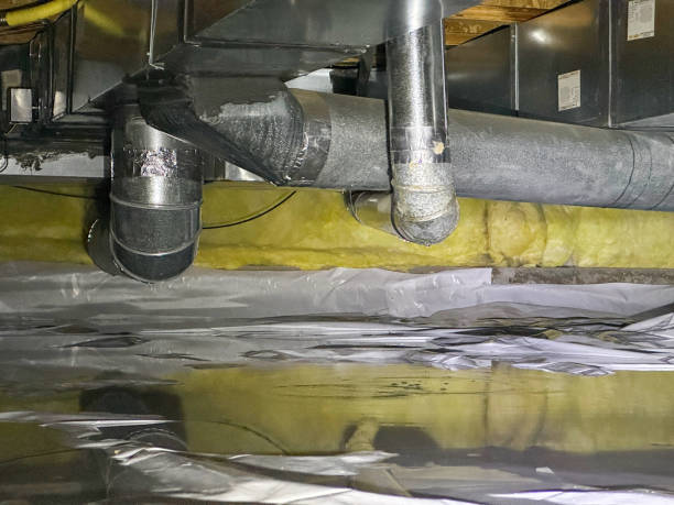 Best Commercial water damage restoration  in Excelsior, MN