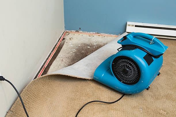 Best Emergency water damage restoration  in Excelsior, MN